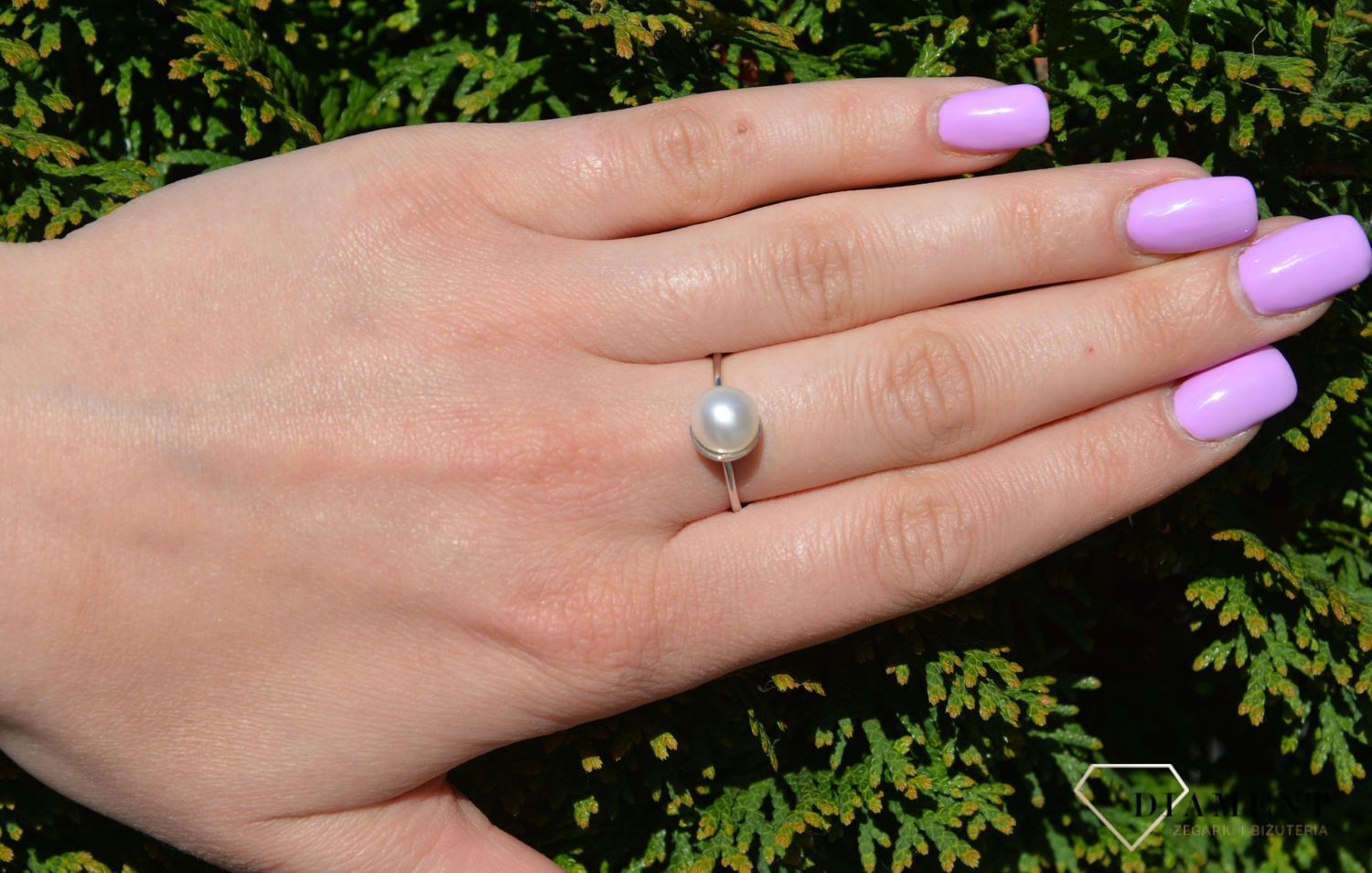 PRS 000000 349 925.jpg